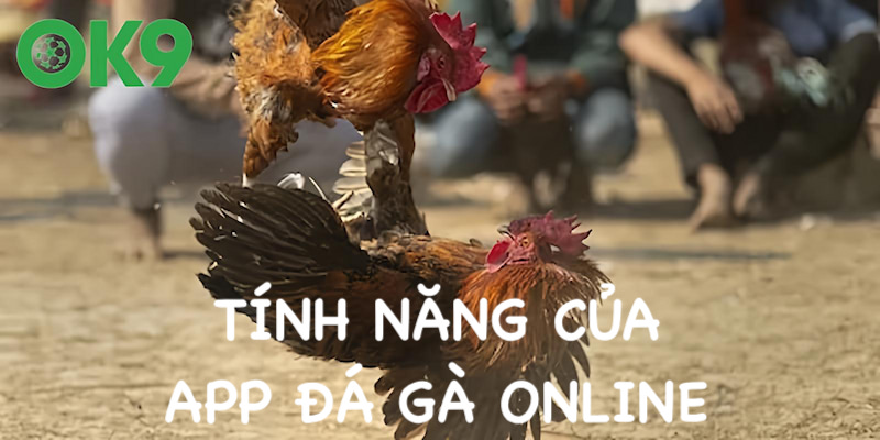 App Đá Gà Online - Ứng Dụng Cá Cược Mới Nhất Tại OK9